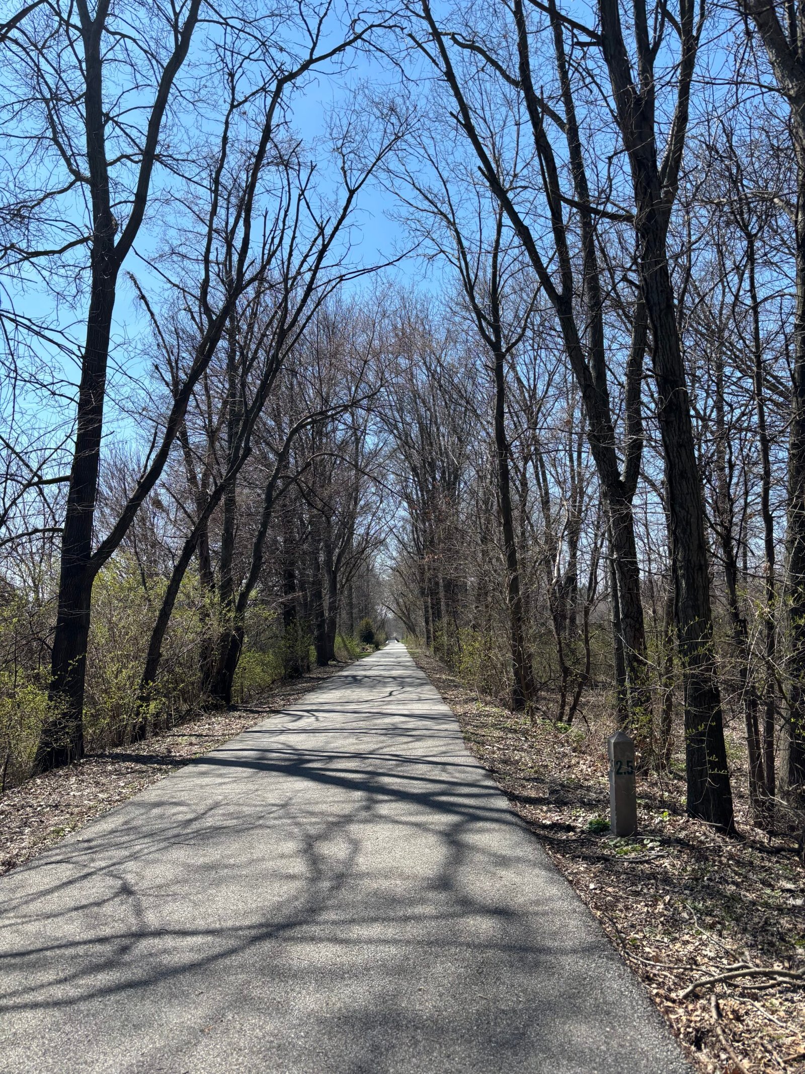 Chicago Spring Half Marathon training week 1 trail run recap