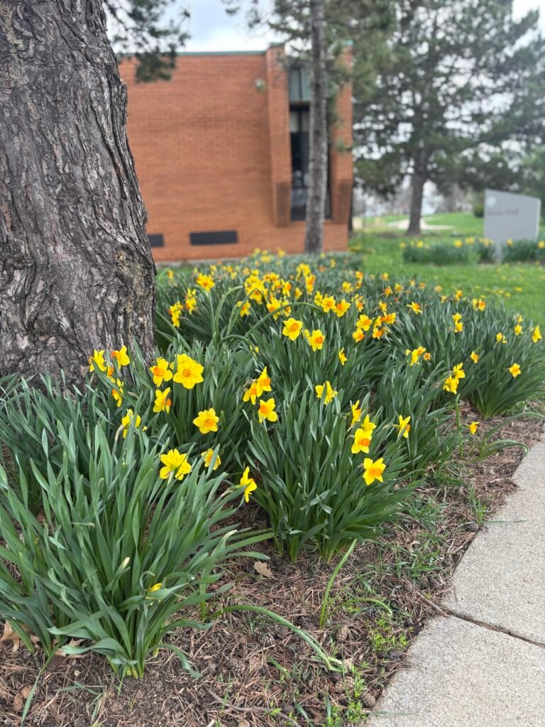 Chicago Spring Half Marathon Training – Week 8 Recap 1