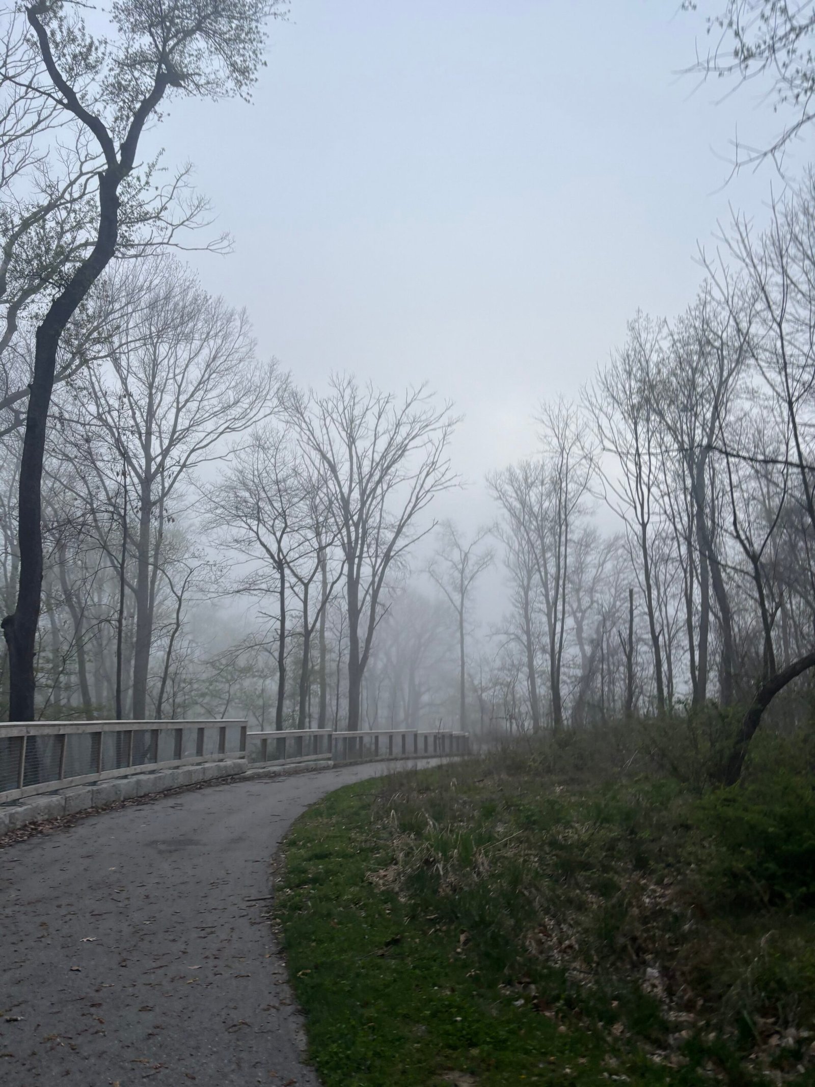 Foggy trail during Chicago half marathon training week 8 progression run