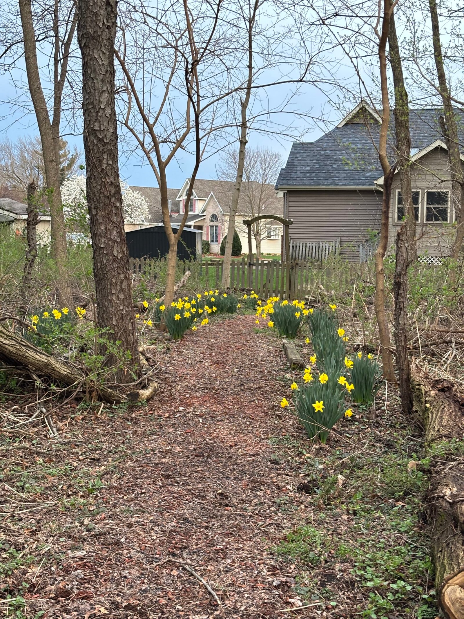 Spring flowers on the trail during Chicago half marathon training week 6