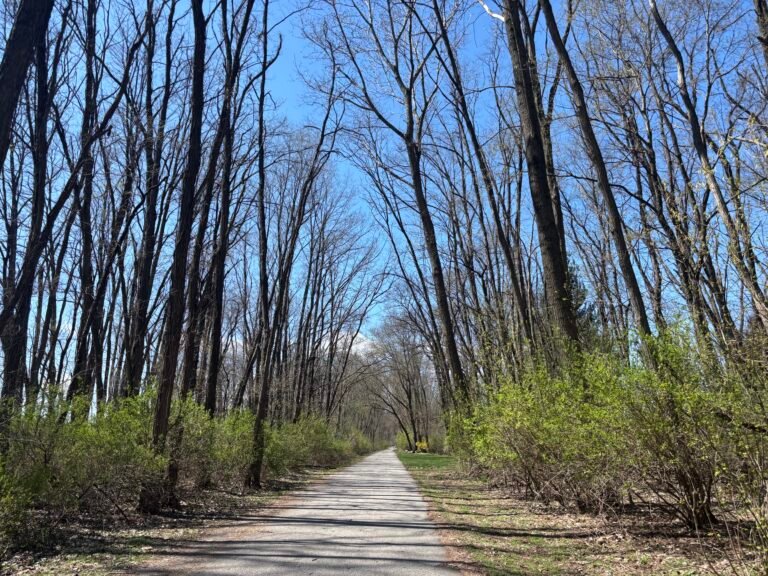 Chicago Spring Half Marathon Training - Week 6 Recap 2