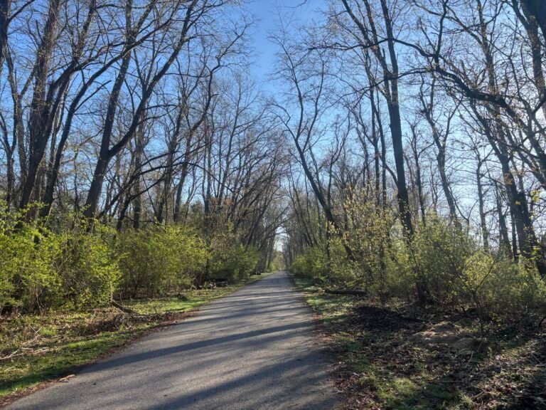 Chicago Spring Half Marathon Training – Week 7 Recap 3