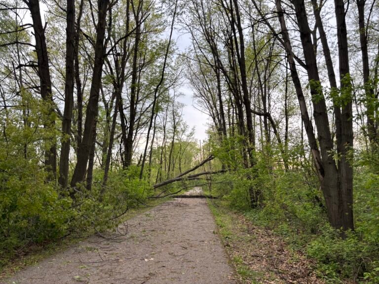 Chicago Spring Half Marathon Training – Week 10 Recap 18