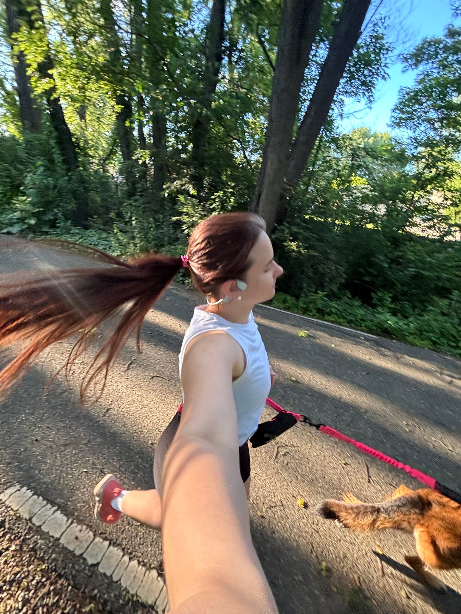 Running with my German Shepherd Scout on a summer morning run
