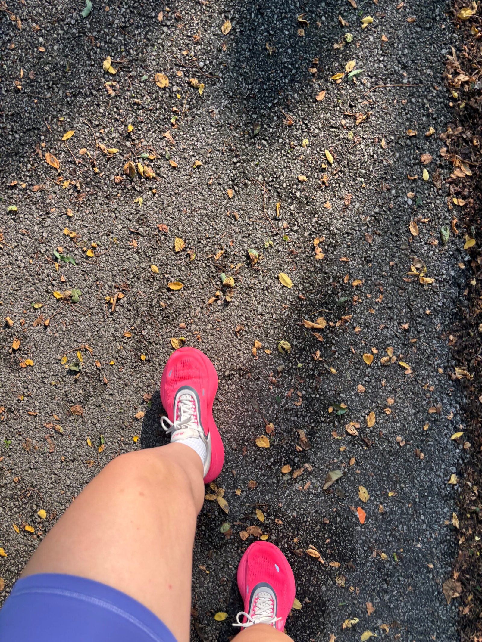 Indianapolis Monumental Marathon training week 1 recap