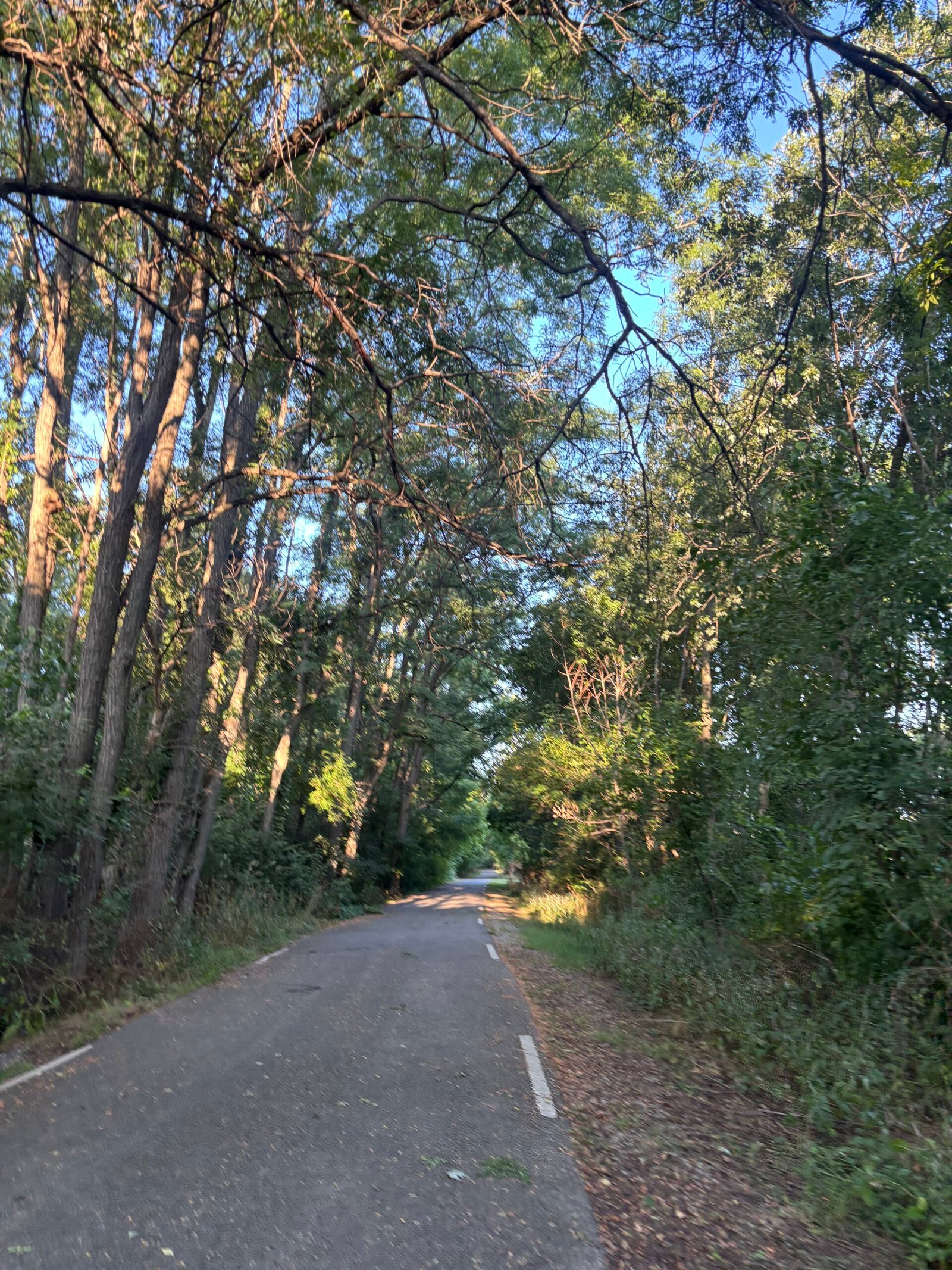 Marathon training week 2 run