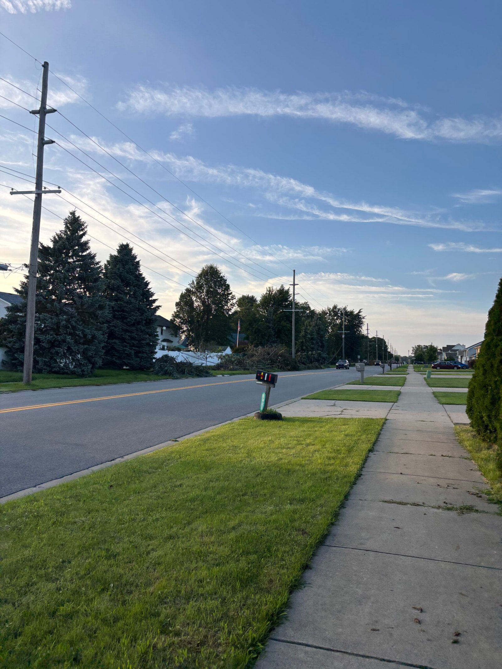 Downed power lines and trees still blocking the sidewalk during marathon training week 6