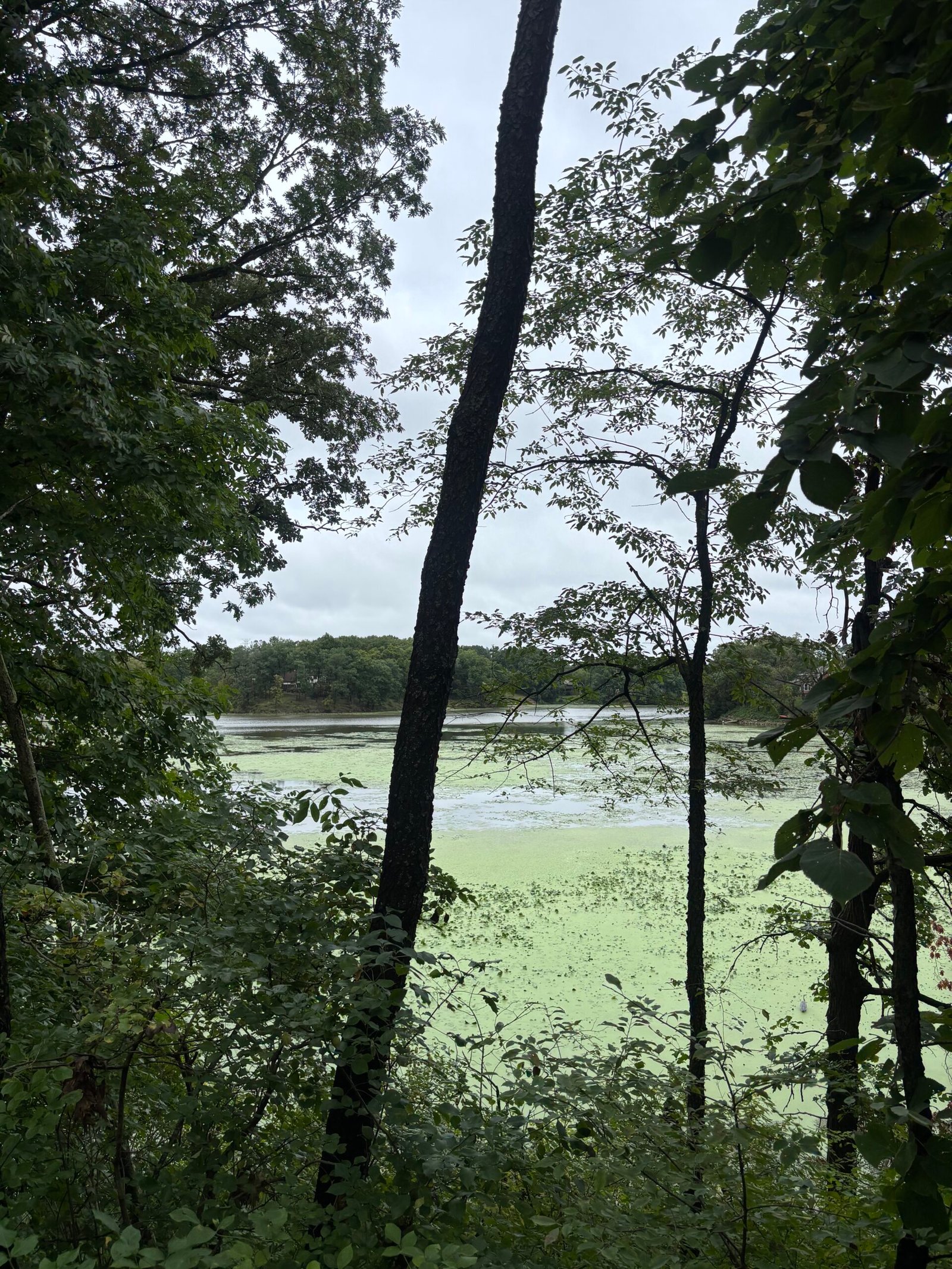 Lake along the trail during a rainy weekend run