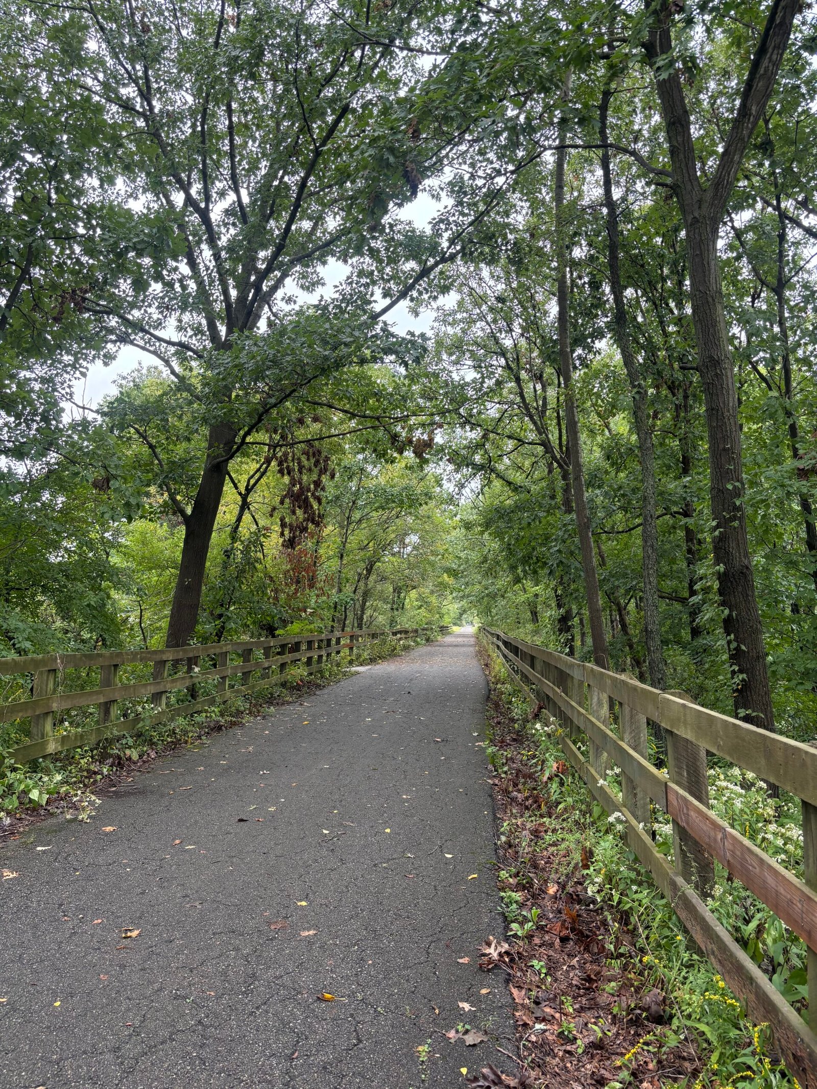 The trail during marathon training week 11